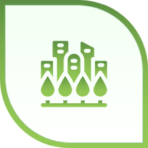 Green Growth